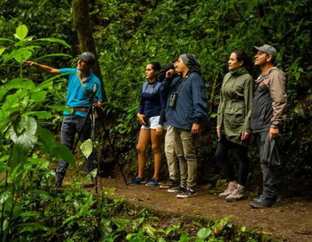 Monteverde Cloud Forest Reserve Guided Hike Tour