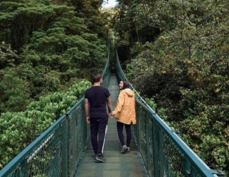 Selvatura Hanging Bridges