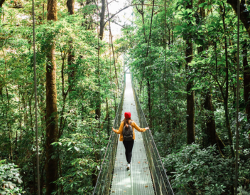 Hanging Bridges TreeTopia Park